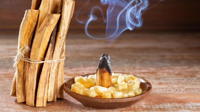 Palo Santo Nedir, Ne İşe Yarar? Palo Santo Nedir, Ne İşe Yarar?