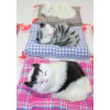 Yastıkta Uyuyan Kedi Sesli Alk25